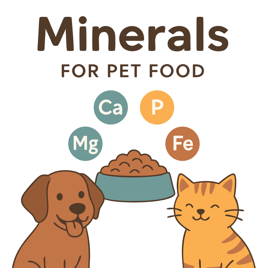 Basics of Nutrition: Mineral Guide for Dog and Cat Owners