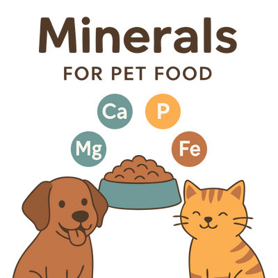 Basics of Nutrition: Mineral Guide for Dog and Cat Owners