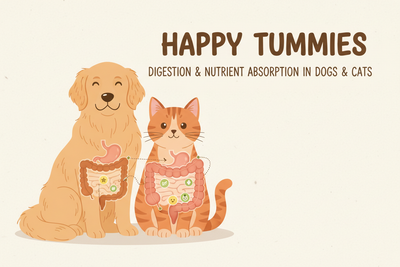 Basics of Nutrition: Digestion & Absorption in Dogs and Cats