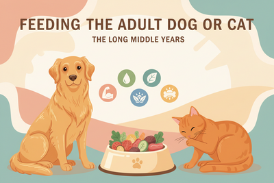 The Long Middle: A Pet Parent's Guide to Feeding the Adult Dog or Cat