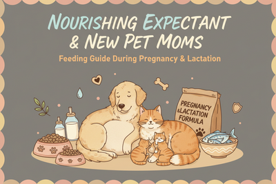 Feeding for Two (or Ten): A Pet Parent's Guide to Pregnancy and Lactation